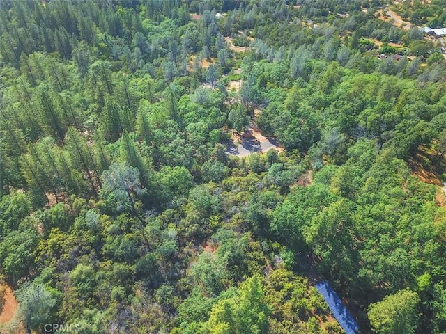 aerial view with a forest view