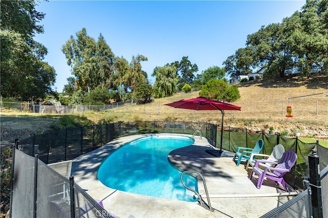 view of swimming pool with a patio