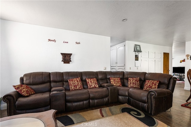 living room with dark hardwood / wood-style floors