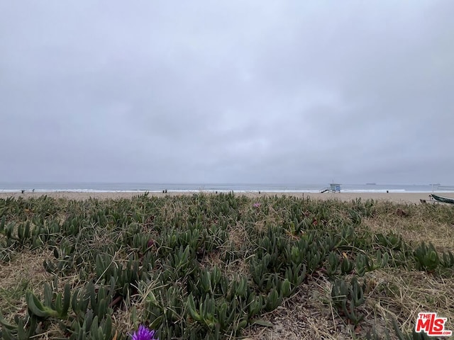 view of nature featuring a water view