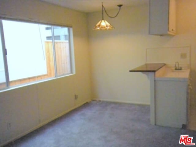 unfurnished dining area featuring carpet floors