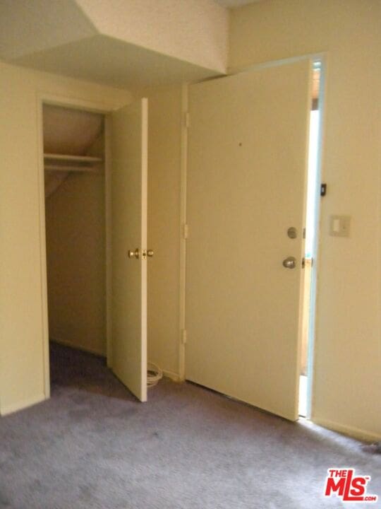 interior space with light colored carpet and a closet