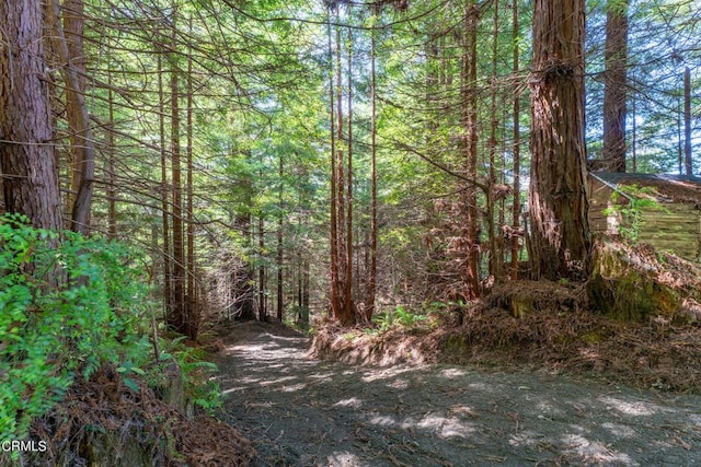 view of nature with a forest view