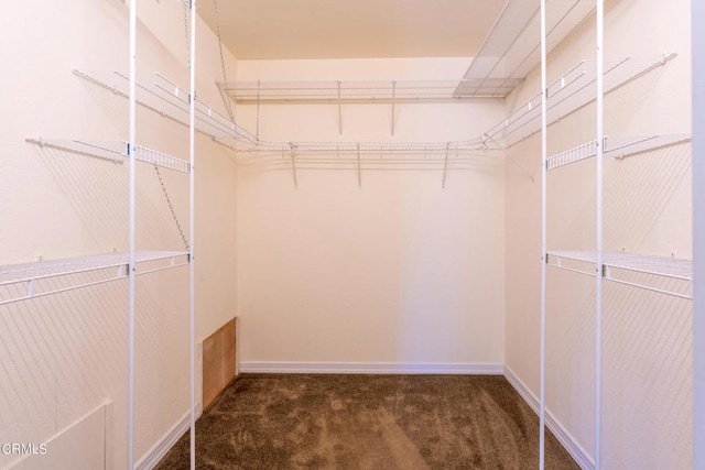 spacious closet with dark colored carpet