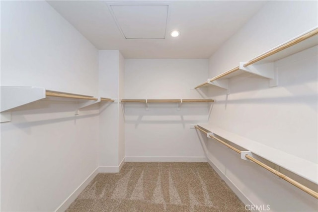 spacious closet featuring light colored carpet