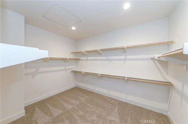 spacious closet featuring light carpet