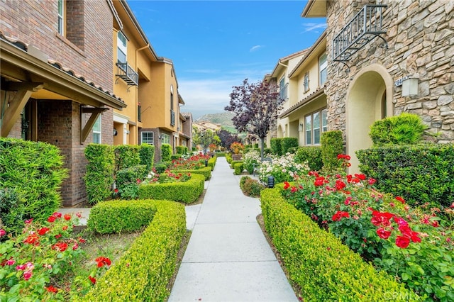 view of property's community with a residential view