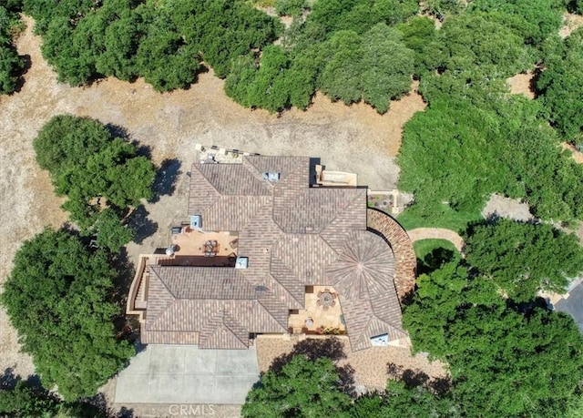 bird's eye view