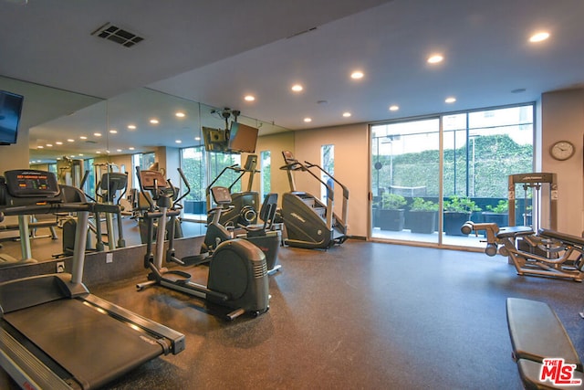 gym featuring a wealth of natural light