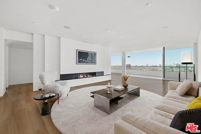 living room with expansive windows and light hardwood / wood-style flooring