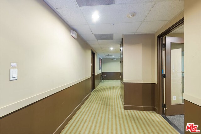 corridor featuring carpet floors and a drop ceiling