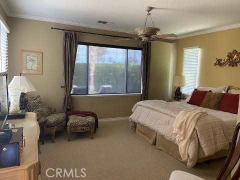 bedroom with crown molding and multiple windows