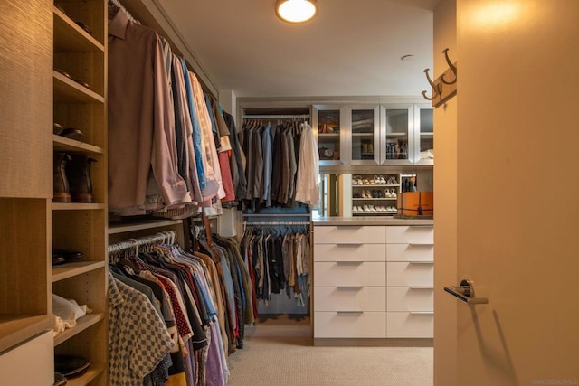 spacious closet featuring light colored carpet