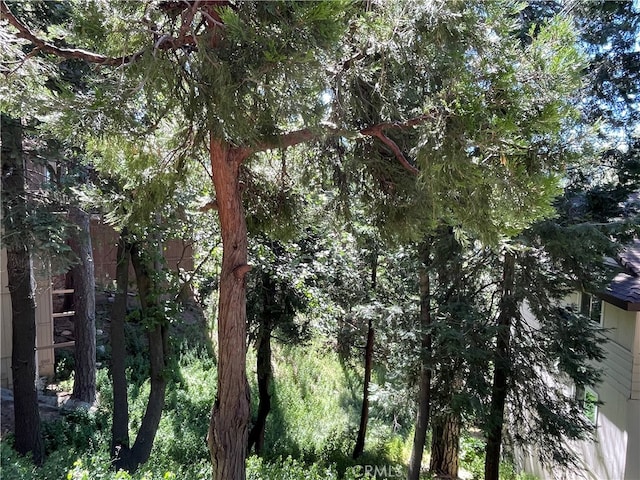 Listing photo 3 for 0 W Victoria Ct, Lake Arrowhead CA 92352