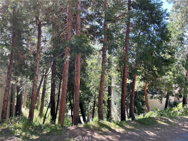 0 W Victoria Ct, Lake Arrowhead CA, 92352 land for sale