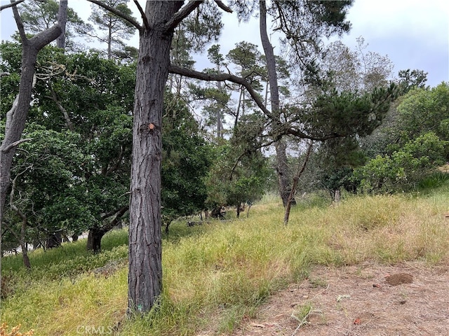0 Norton Ln, Cambria, CA 93428 - photo 1