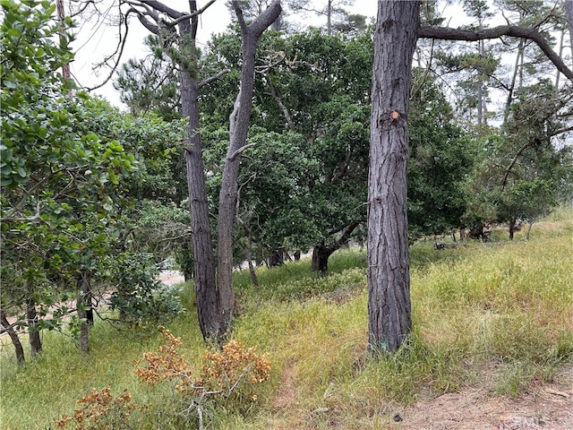 0 Norton Ln, Cambria, CA 93428 - photo 8
