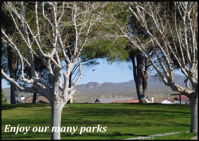 26358 Edgewater Ln, Helendale, CA 92342 - photo 34