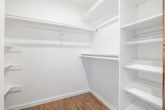 walk in closet featuring wood-type flooring