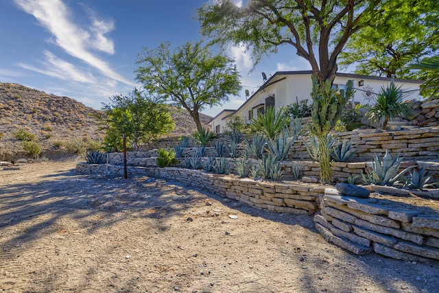 view of yard featuring a mountain view