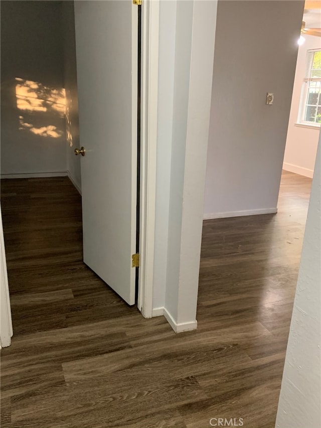 hallway featuring dark hardwood / wood-style floors