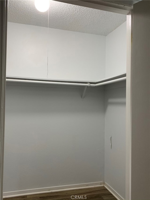 spacious closet with dark wood-type flooring