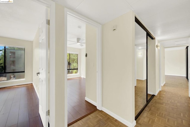 hallway with hardwood / wood-style flooring and a barn door