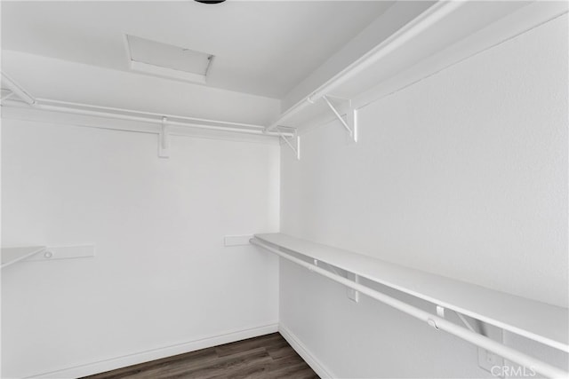 walk in closet featuring dark wood-type flooring