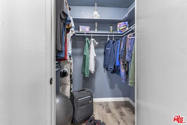 spacious closet with light wood-type flooring