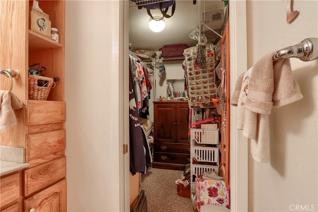 walk in closet with carpet floors