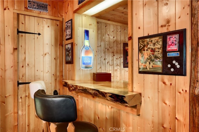 bar featuring wood walls