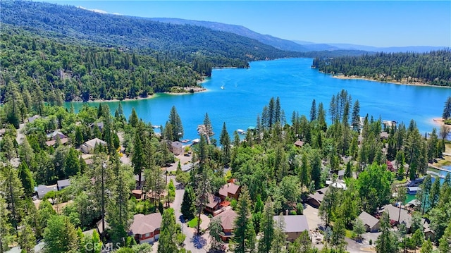 birds eye view of property featuring a water and mountain view