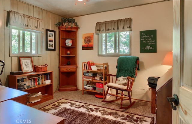 sitting room with wood walls and carpet