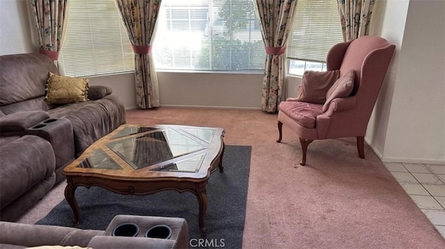 living room featuring light colored carpet