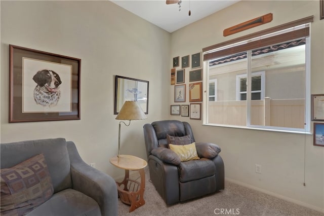 sitting room with light carpet