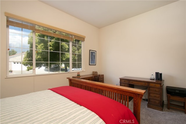 bedroom with carpet flooring