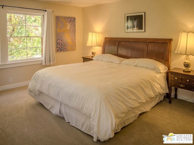 bedroom featuring carpet floors