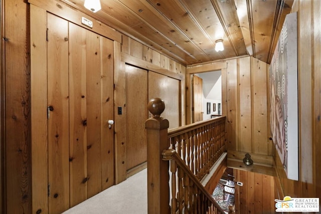 hall featuring wooden walls and carpet flooring