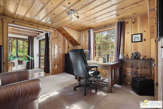 office with wood walls, carpet flooring, and plenty of natural light