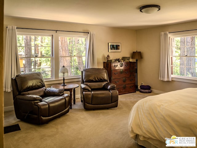 carpeted bedroom featuring multiple windows