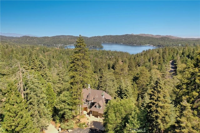 28964 Quail Run Ct, Lake Arrowhead, CA 92352 - photo 60