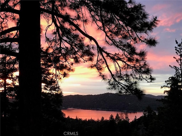 28964 Quail Run Ct, Lake Arrowhead, CA 92352 - water view