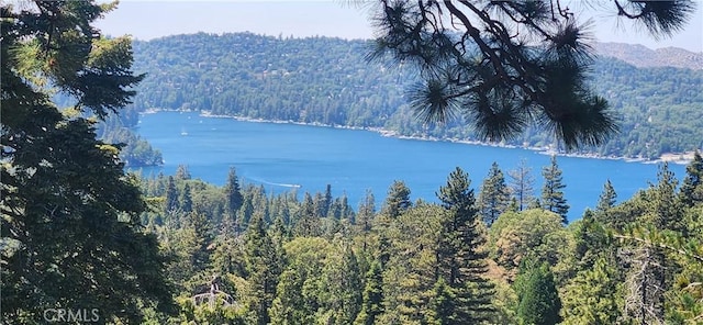 28964 Quail Run Ct, Lake Arrowhead, CA 92352 - water view with a forest