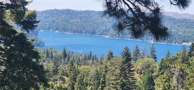28964 Quail Run Ct, Lake Arrowhead, CA 92352 - photo 3