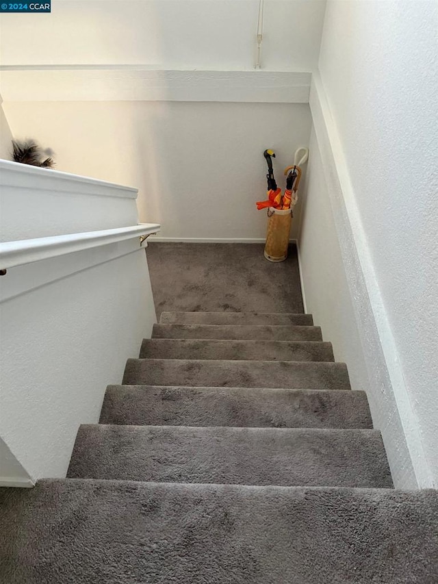 staircase featuring carpet flooring