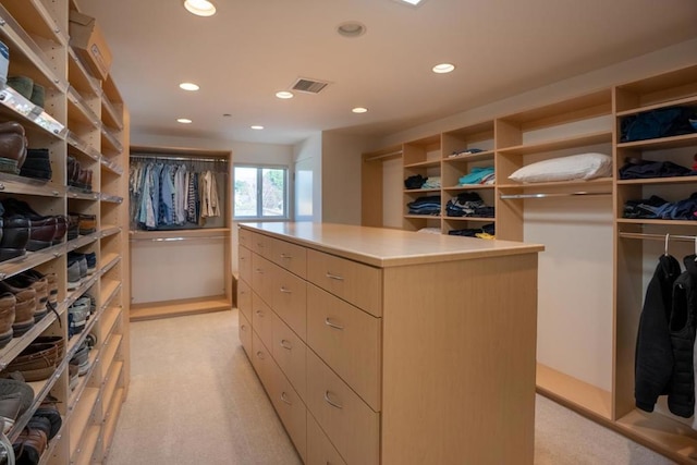 spacious closet with light carpet