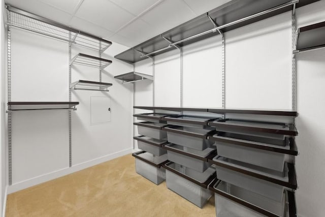 spacious closet with a drop ceiling and light colored carpet