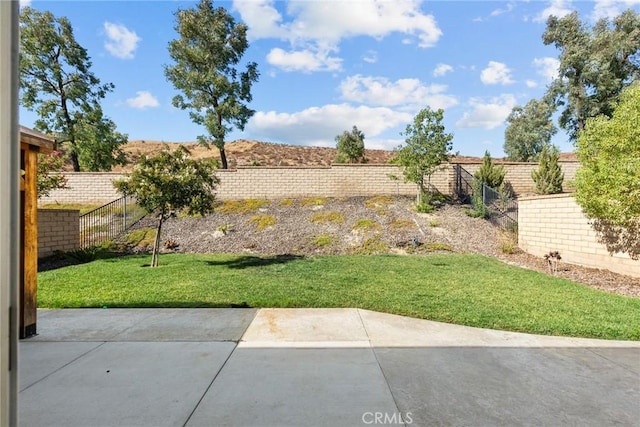 view of yard with a patio