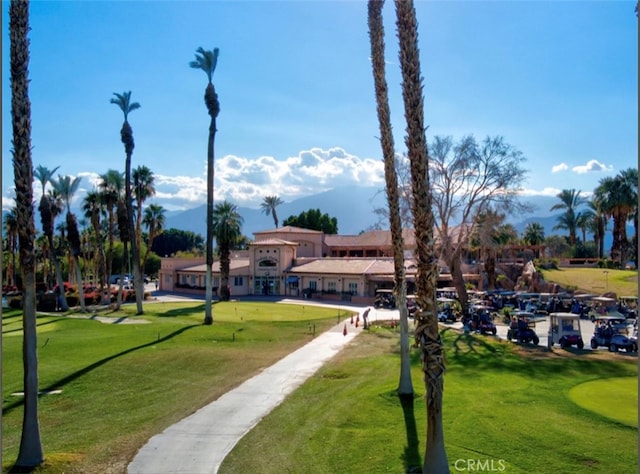 view of home's community with a yard