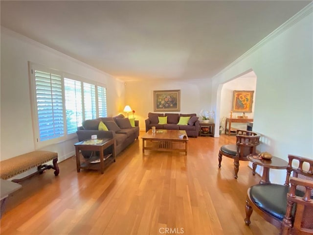 living room featuring light hardwood / wood-style floors and crown molding